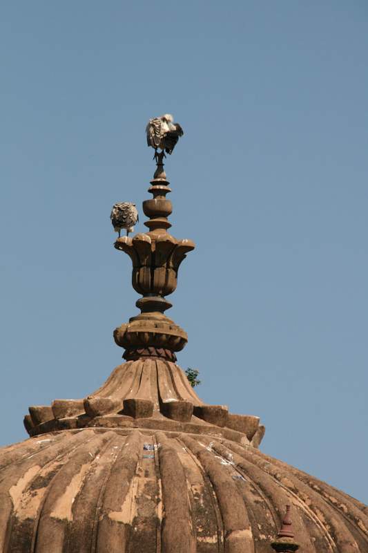 India & Nepal 2011 - 1028